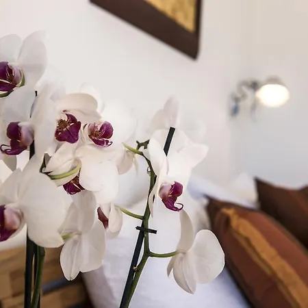 Bed & Breakfast Kbella Therapy Savièse